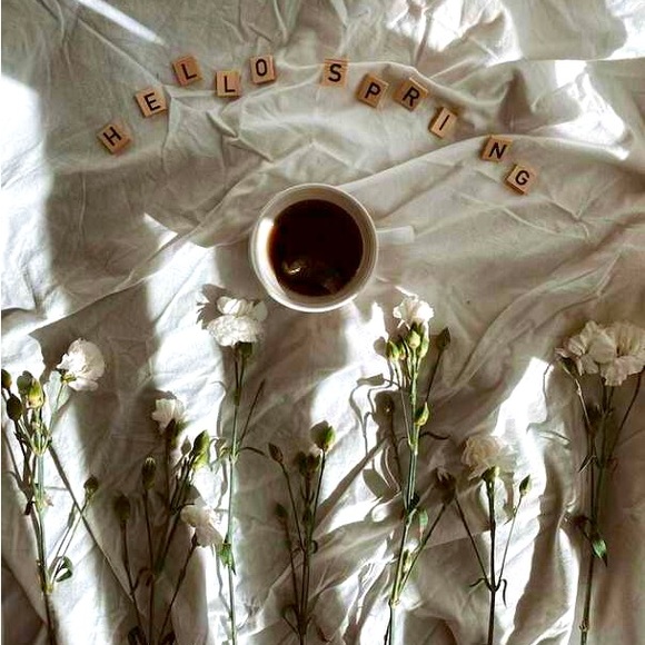 Meet your posher Aurora - Picture 1 of 12